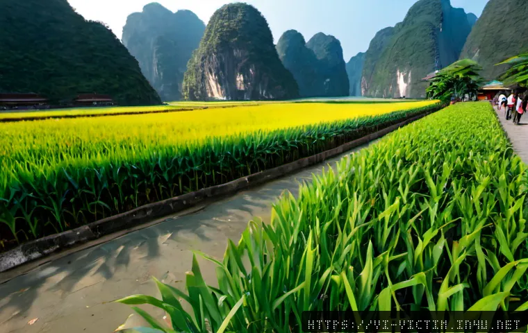Cách ứng phó khi là nạn nhân bị quay lén trái phép 4 범죄 피해자 불법 촬영 대응 관련 이미지 2